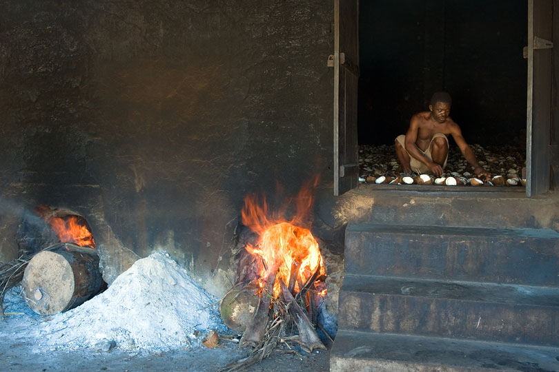 The shells are dried in a &lt;p&gt;hot kiln to create copra.